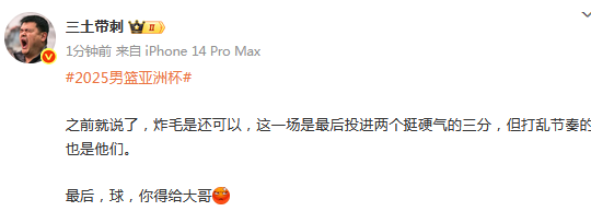 nZpd, 过伊朗队这